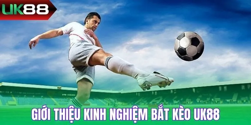 Kinh Nghiệm Bắt Kèo
