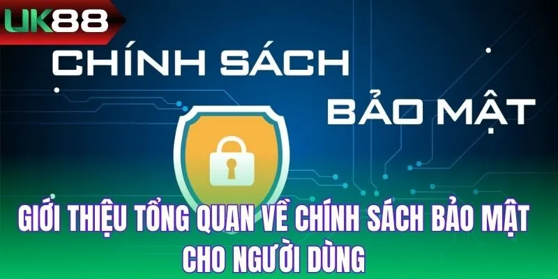 Giới thiệu tổng quan về chính sách bảo mật cho người dùng