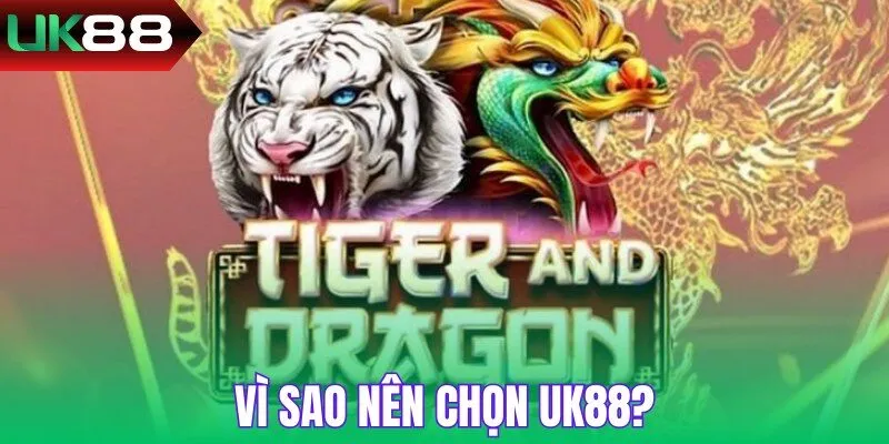 Vì sao nên chọn chơi Rồng Hổ UK88?